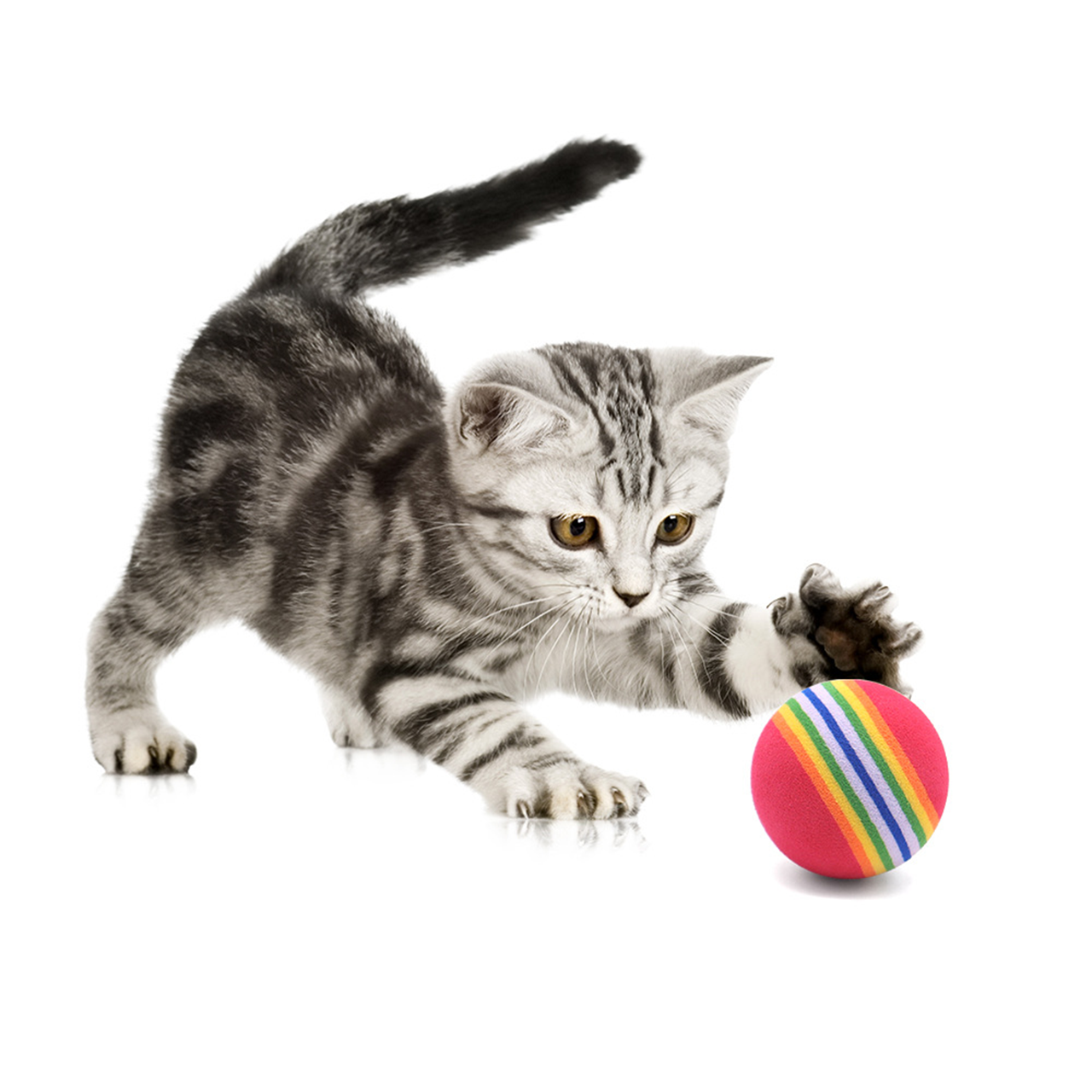 Cat Toy Ball Pack – 10 Pieces Rainbow Foam Balls (3.5cm)