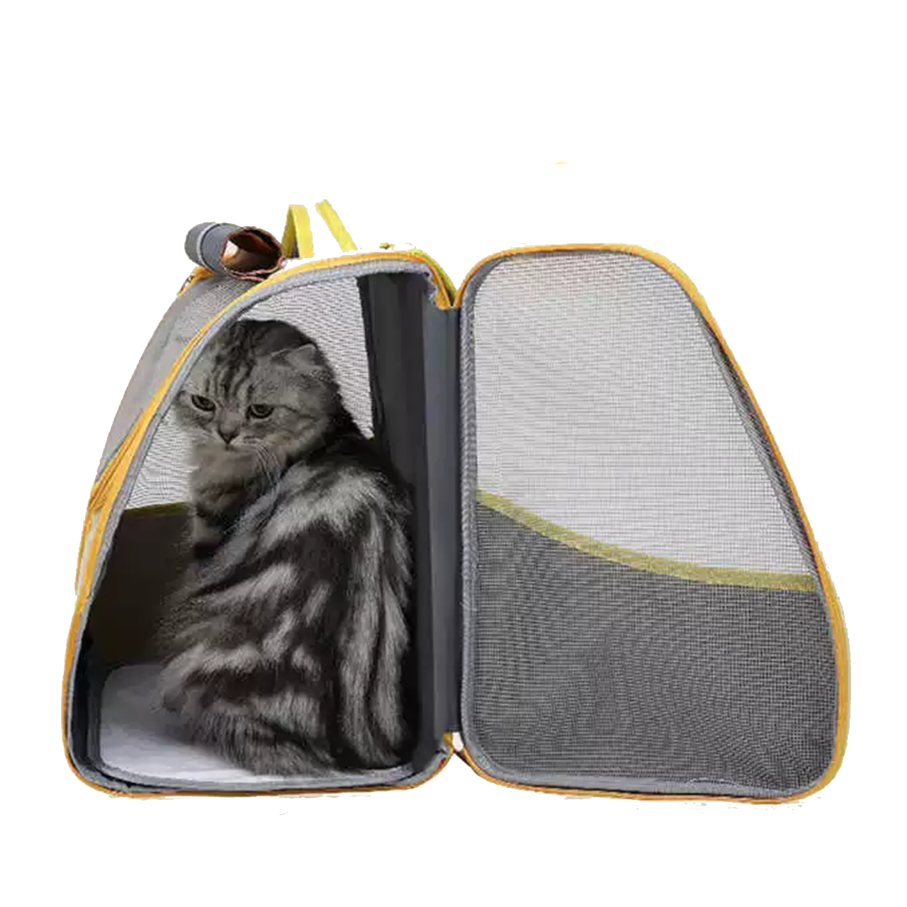 Pet Backpack Carrier for Cats & Small Dogs