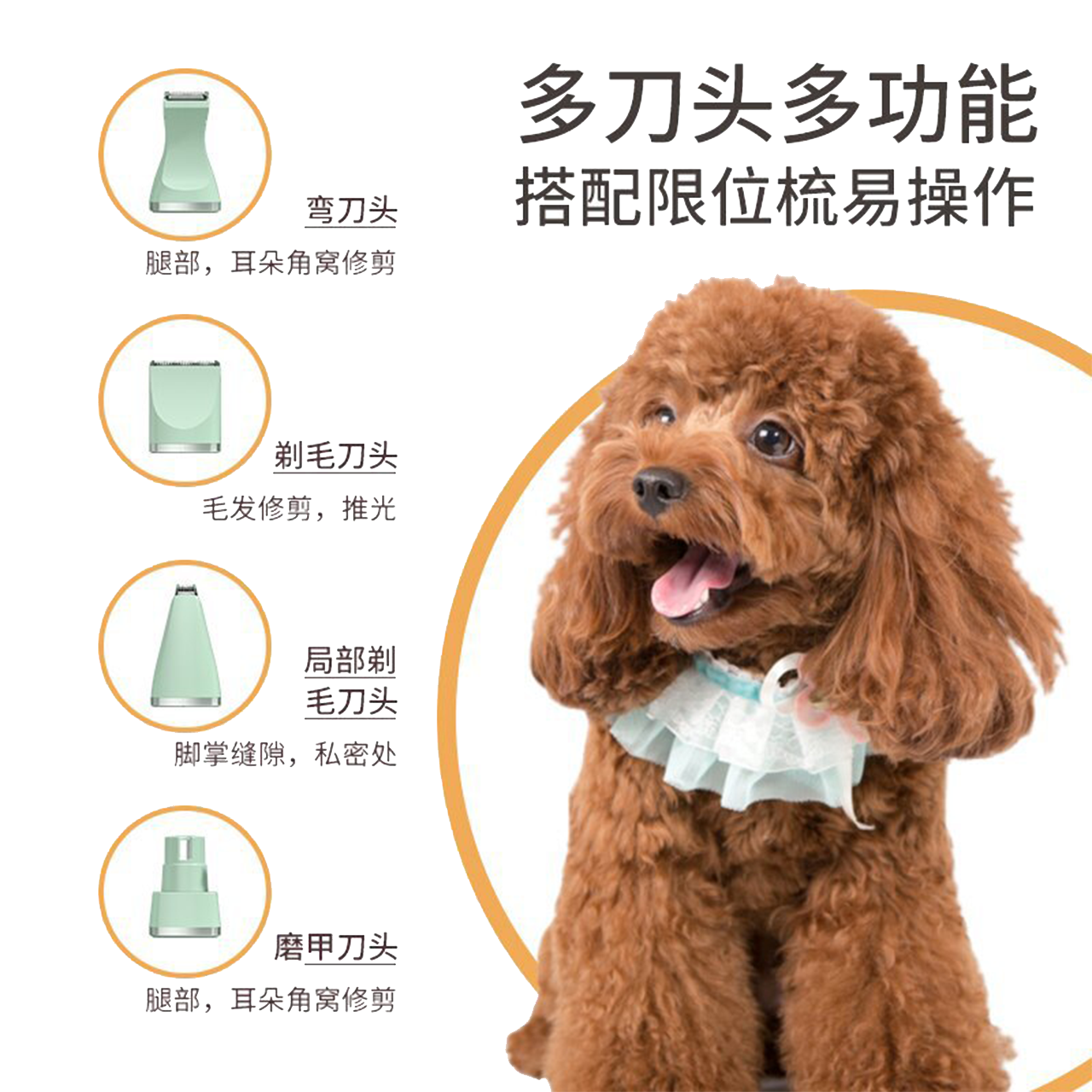 Pet Trimmer Kit – Stainless Steel Grooming Shears