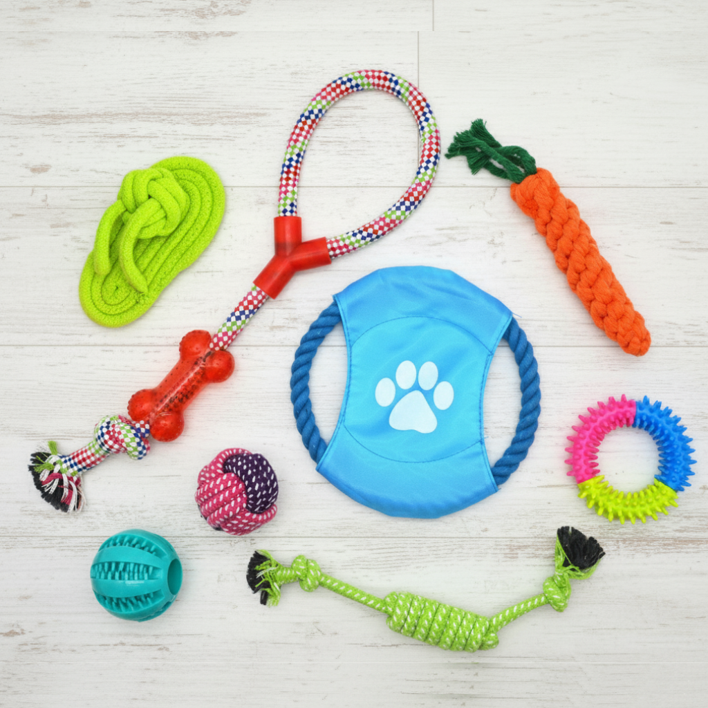 Dog Chew Toy Pack – 8 Pieces for Play & Training