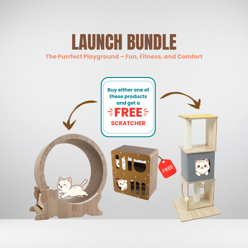 Launch Cat Furniture Bundle